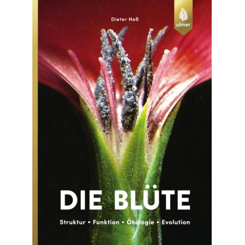 Dieter Hess - Die Blüte