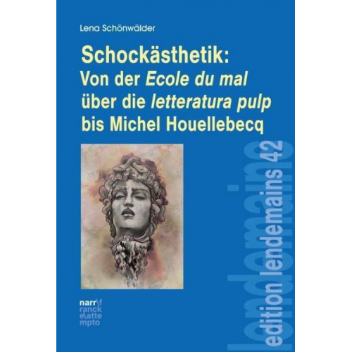 Lena Schönwälder - Schockästhetik: Von der Ecole du mal über die letteratura pulp bis Michel Houellebecq