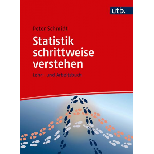 Peter Schmidt - Statistik schrittweise verstehen