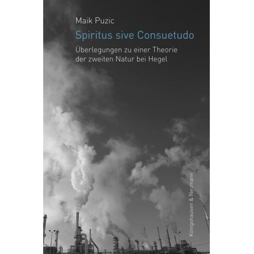 Maik Puzic - Spiritus sive Consuetudo