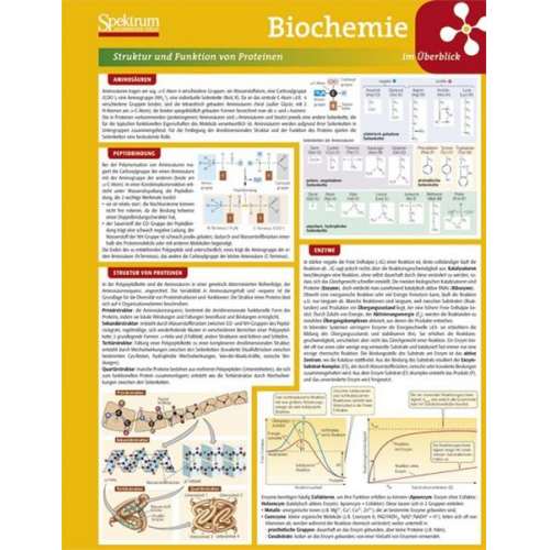 Lerntafel: Biochemie im Überblick