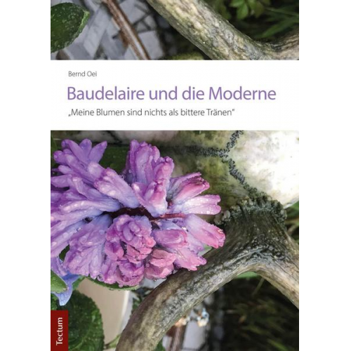 Bernd Oei - Baudelaire und die Moderne