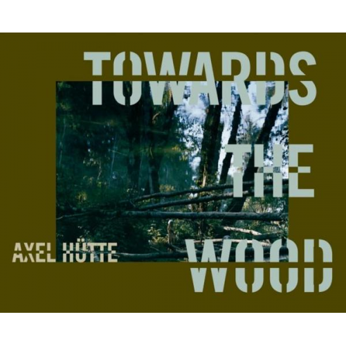 Axel Hütte - Towards the Wood