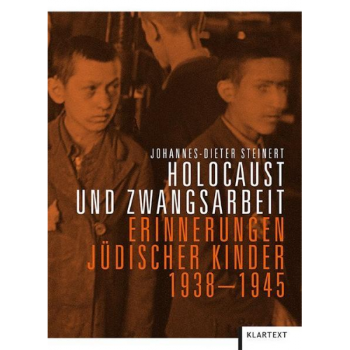 Johannes-Dieter Steinert - Holocaust und Zwangsarbeit