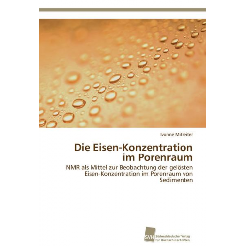 Ivonne Mitreiter - Die Eisen-Konzentration im Porenraum