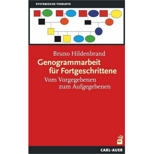 Bruno Hildenbrand - Genogrammarbeit für Fortgeschrittene