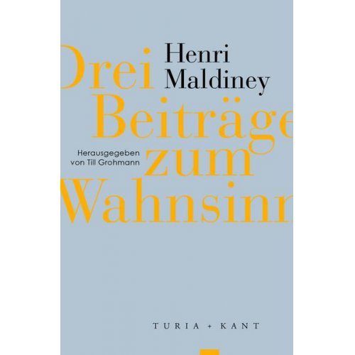 Henri Maldiney - Drei Beiträge zum Wahnsinn