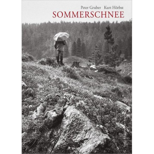 Peter Gruber - Sommerschnee