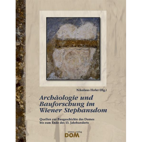 Archäologie und Bauforschung im Wiener Stephansdom