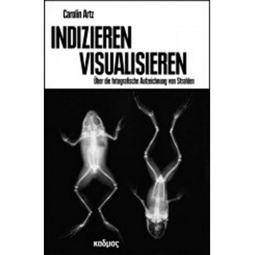 Carolin Artz - Indizieren - Visualisieren