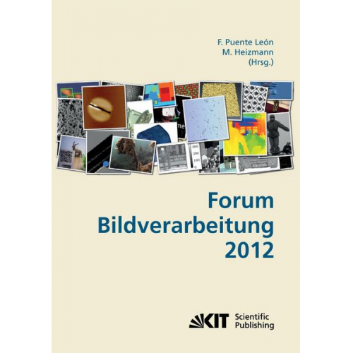 Fernando Puente León - Forum Bildverarbeitung 2012