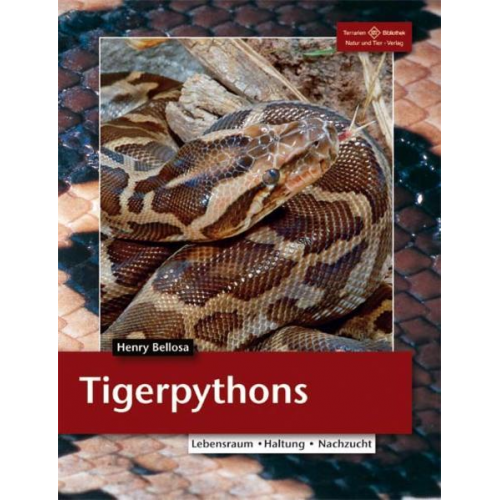 Henry Bellosa - Tigerpythons