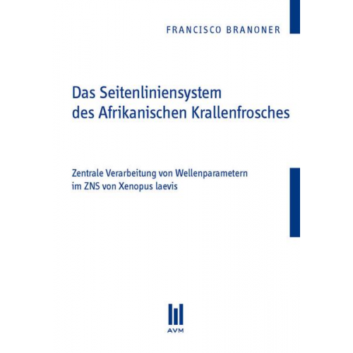 Francisco Branoner - Das Seitenliniensystem des Afrikanischen Krallenfrosches