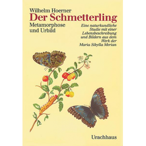 Wilhelm Hoerner - Der Schmetterling