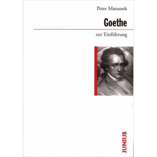 Peter Matussek - Goethe zur Einführung