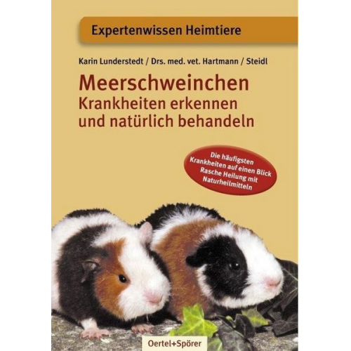 Karin Lunderstedt - Meerschweinchen