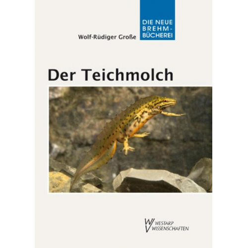 Wolf-Rüdiger Grosse - Der Teichmolch