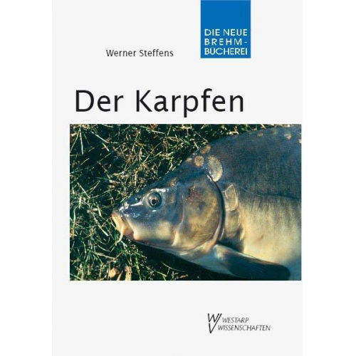 Werner Steffens - Der Karpfen