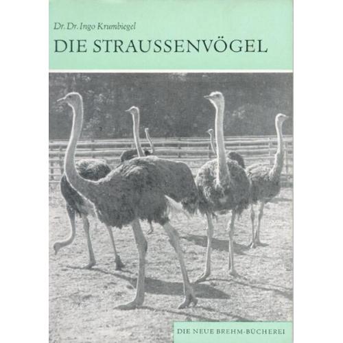 Ingo Krumbiegel - Die Straußenvögel