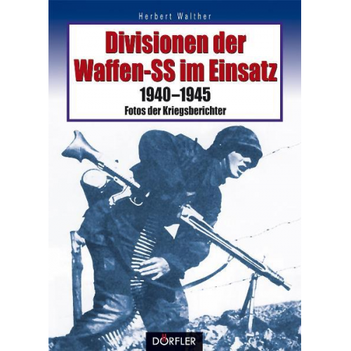 Herbert Walther - Divisionen der Waffen-SS im Einsatz