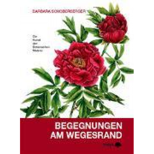 Barbara Schoberberger - Schoberberger, B: Begegnungen am Wegesrand