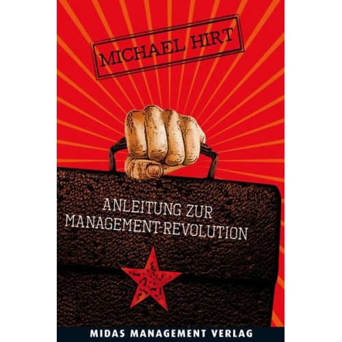 Michael Hirt - Anleitung zur Management-Revolution