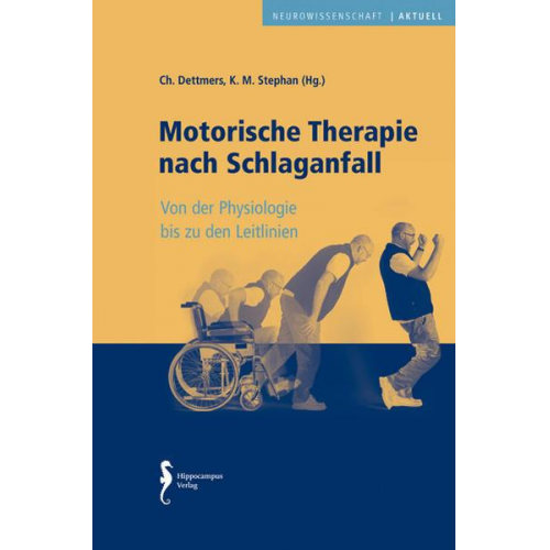 Christian Dettmers & Klaus Martin Stephan - Motorische Therapie nach Schlaganfall