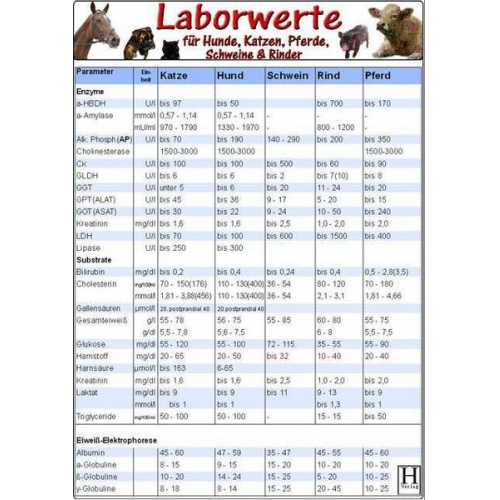 Laborwerte-Karte für Hunde, Katzen, Pferde, Schweine & Rinder