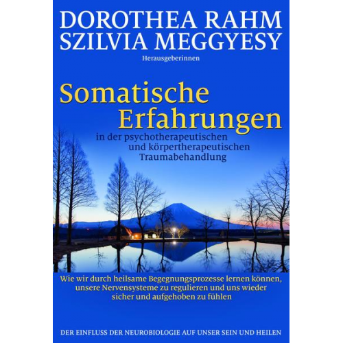 Somatische Erfahrungen in der psychotherapeutischen und körpertherapeutischen Traumabehandlung