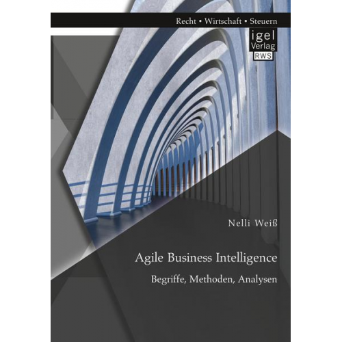 Nelli Weiss - Agile Business Intelligence. Begriffe, Methoden, Analysen