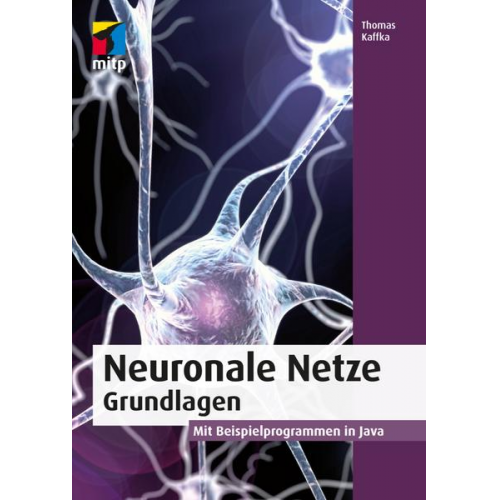 Thomas Kaffka - Neuronale Netze - Grundlagen