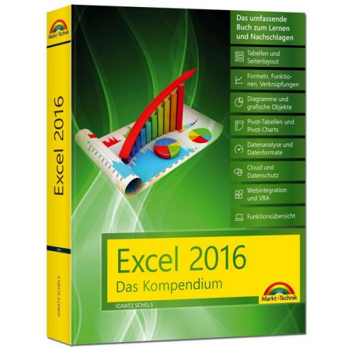 Ignatz Schels - Schels, I: Excel 2016 - Das Kompendium