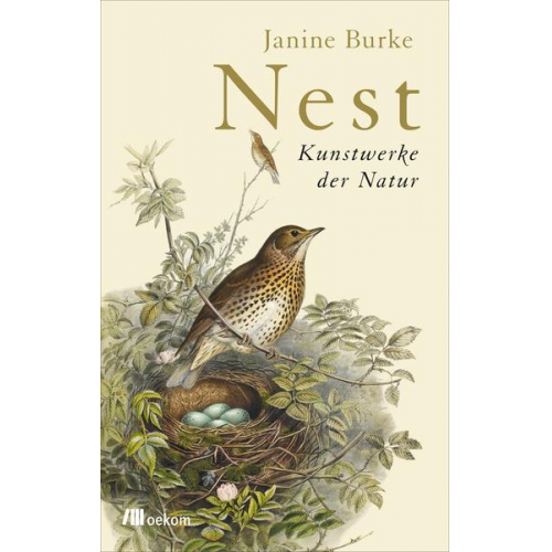 Janine Burke - Nest