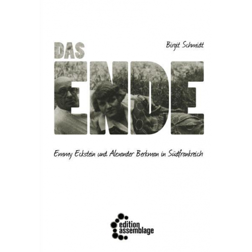 Birgit Schmidt - Das Ende