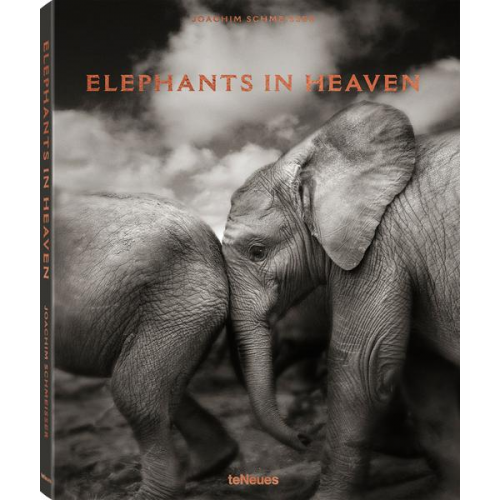 Joachim Schmeisser - Elephants in Heaven