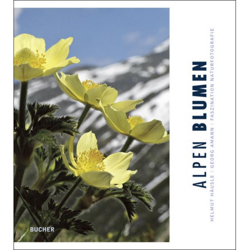 Helmut Häusle & Georg Amann - Alpen Blumen