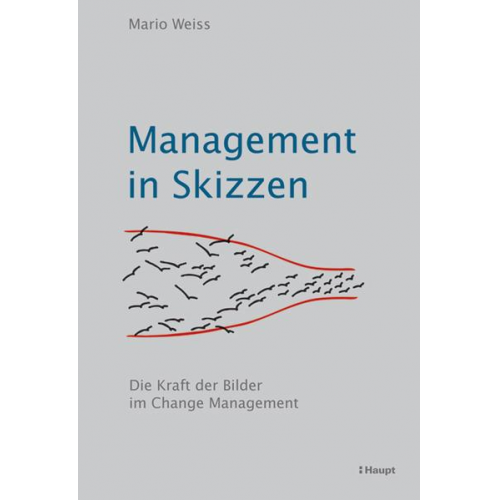 Mario Weiss - Management in Skizzen