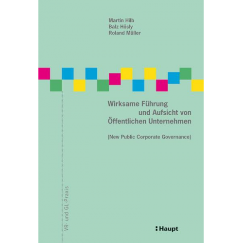 Martin Hilb & Balz Hösly & Roland Müller - Wirksame Führung und Aufsicht von Öffentlichen Unternehmen (New Public Corporate Governance)