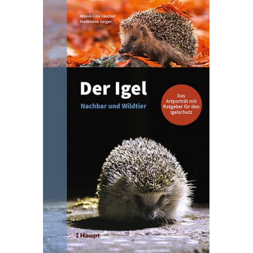 Anouk-Lisa Taucher & Madeleine Geiger - Der Igel – Nachbar und Wildtier