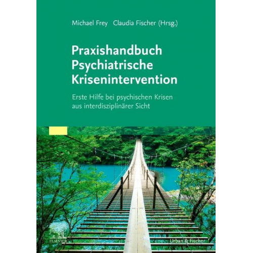 Michael Frey & Claudia Fischer - Praxishandbuch Psychiatrische Krisenintervention