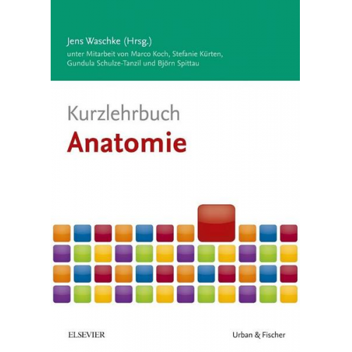 Marco Koch & Stefanie Kürten & Gundula Schulze-Tanzil & Björn Spittau - Kurzlehrbuch Anatomie