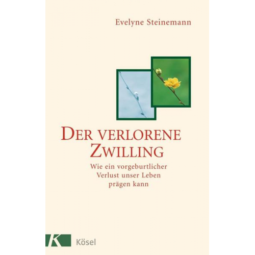 Evelyne Steinemann - Der verlorene Zwilling