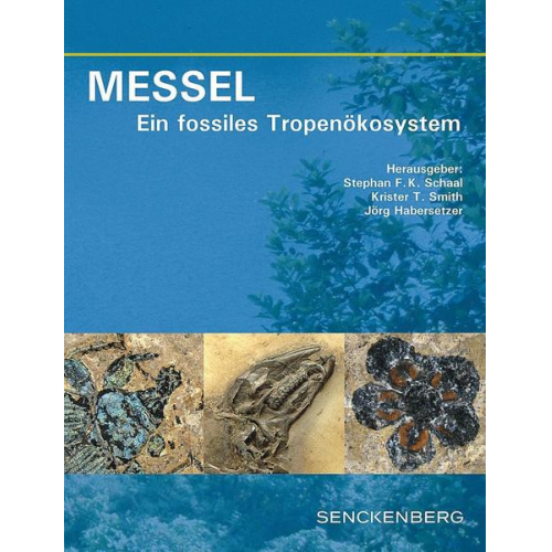 MESSEL - Ein fossiles Tropenökosystem