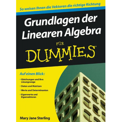 Mary Jane Sterling - Grundlagen der Linearen Algebra für Dummies