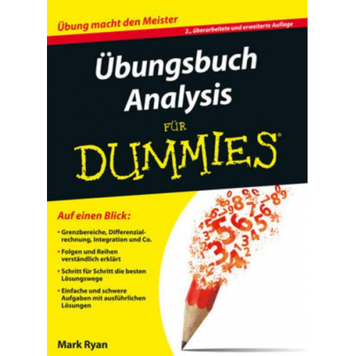 Mark Ryan - Übungsbuch Analysis