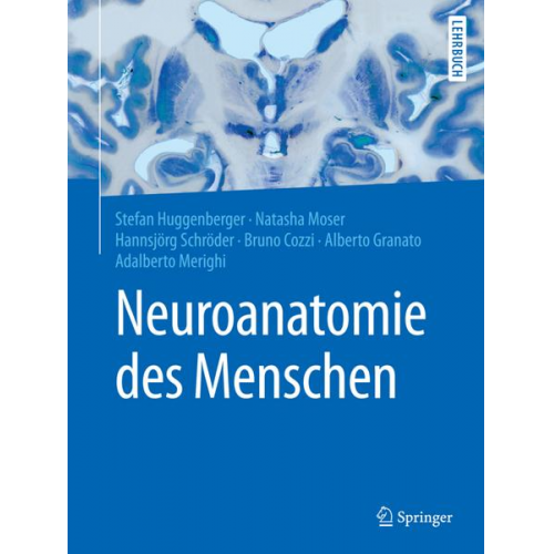 Neuroanatomie des Menschen