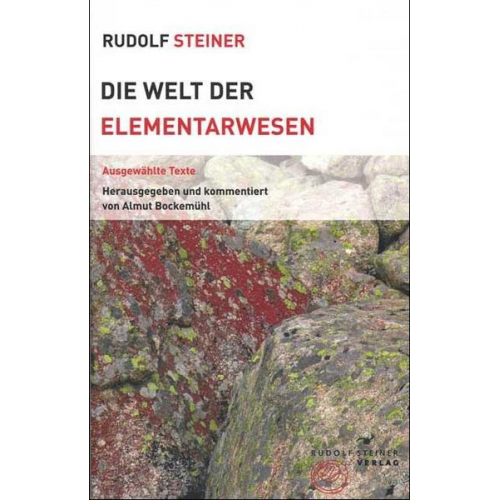 Rudolf Steiner - Die Welt der Elementarwesen