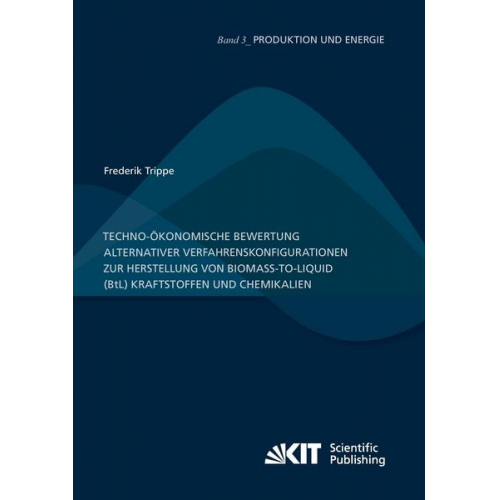 Frederik Trippe - Techno-ökonomische Bewertung alternativer Verfahrenskonfigurationen zur Herstellung von Biomass-to-Liquid (BtL) Kraftstoffen und Chemikalien