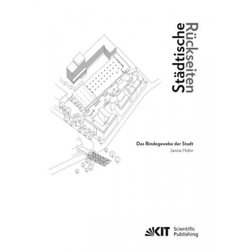 Janna Hohn - Städtische Rückseiten: Das Bindegewebe der Stadt