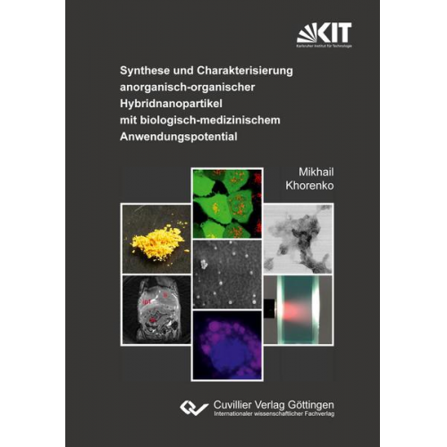 Mikhail Khorenko - Synthese und Charakterisierung anorganisch-organischer Hybridnanopartikel mit biologisch-medizinischem Anwendungspotential